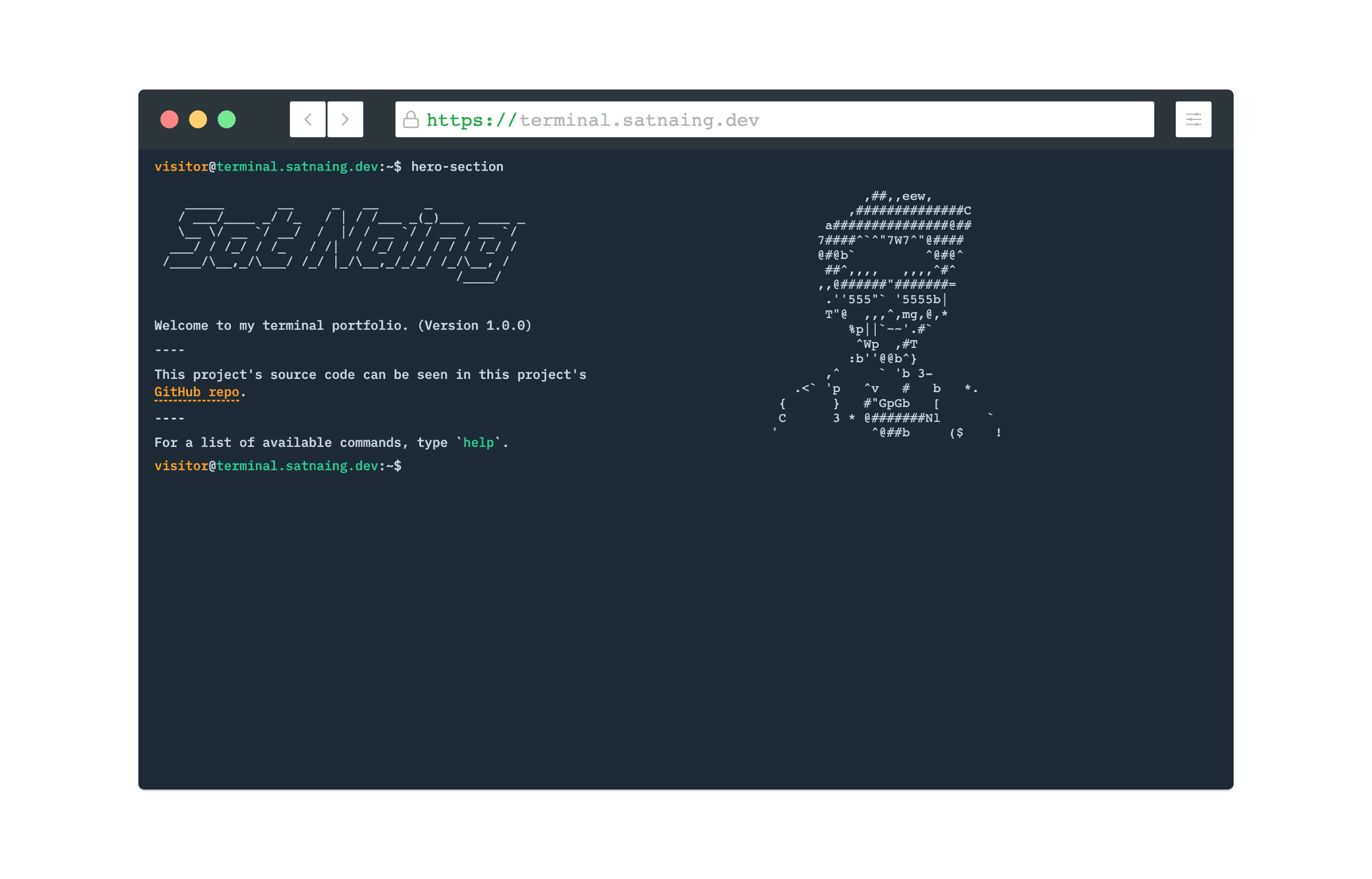 Screenshot of Terminal Portfolio Website